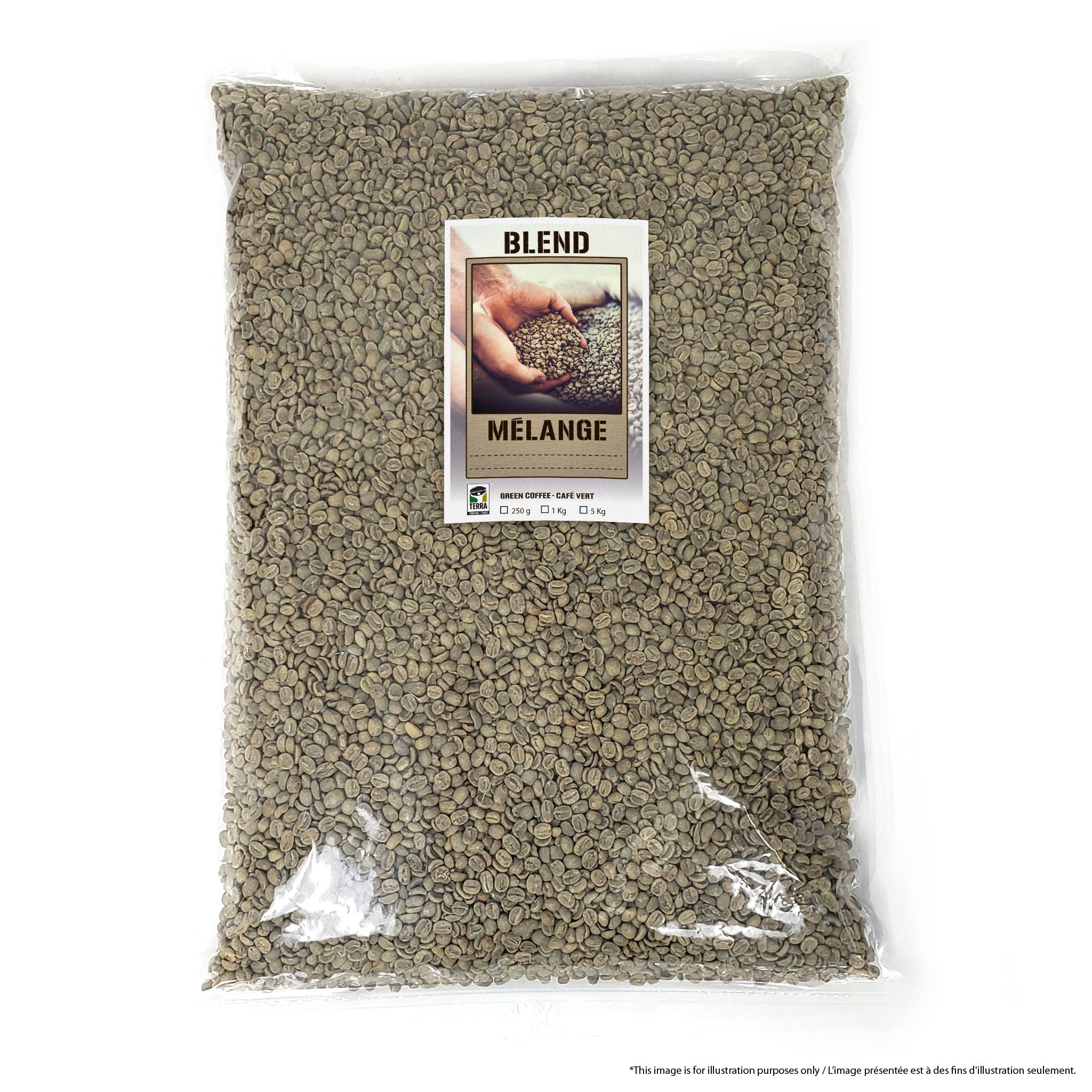 Espresso Toscana - Green Coffee