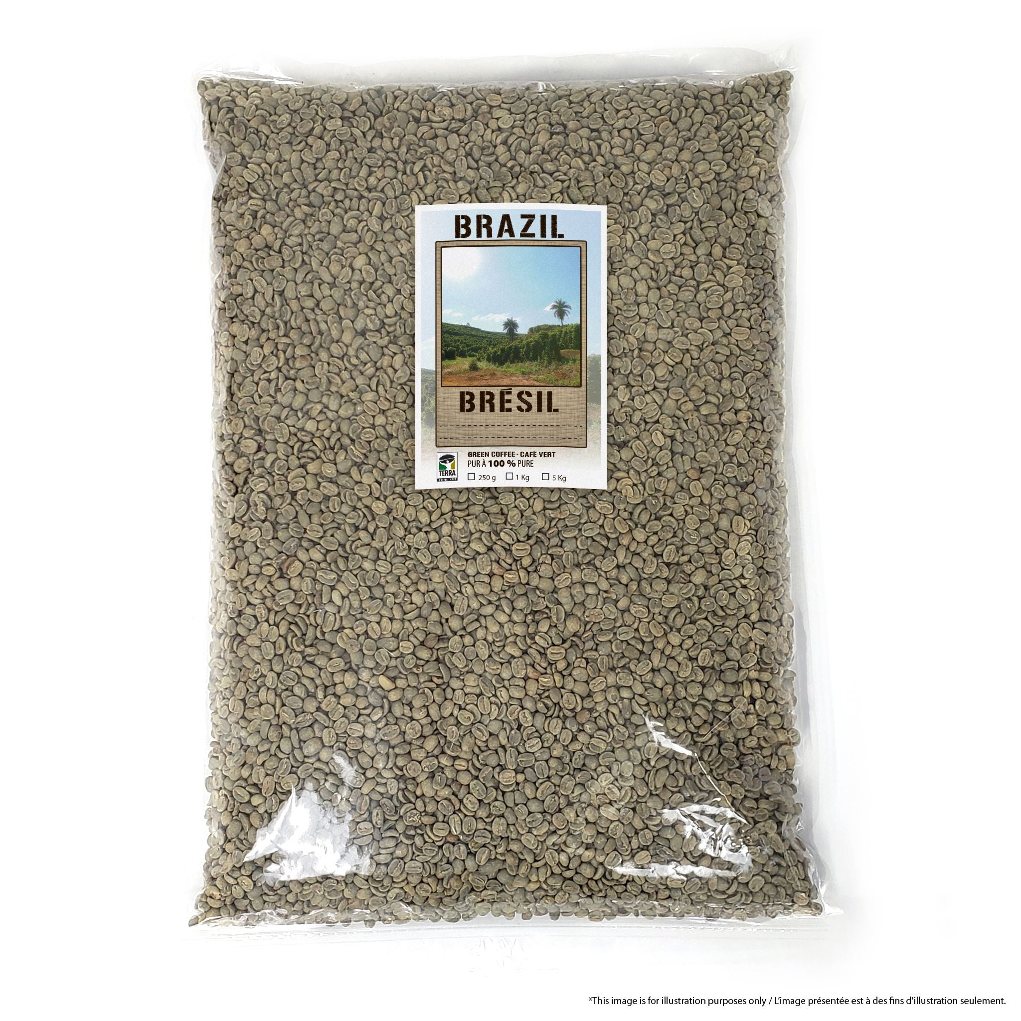 Brazil Bela Vista Anaerobic Fermented Process