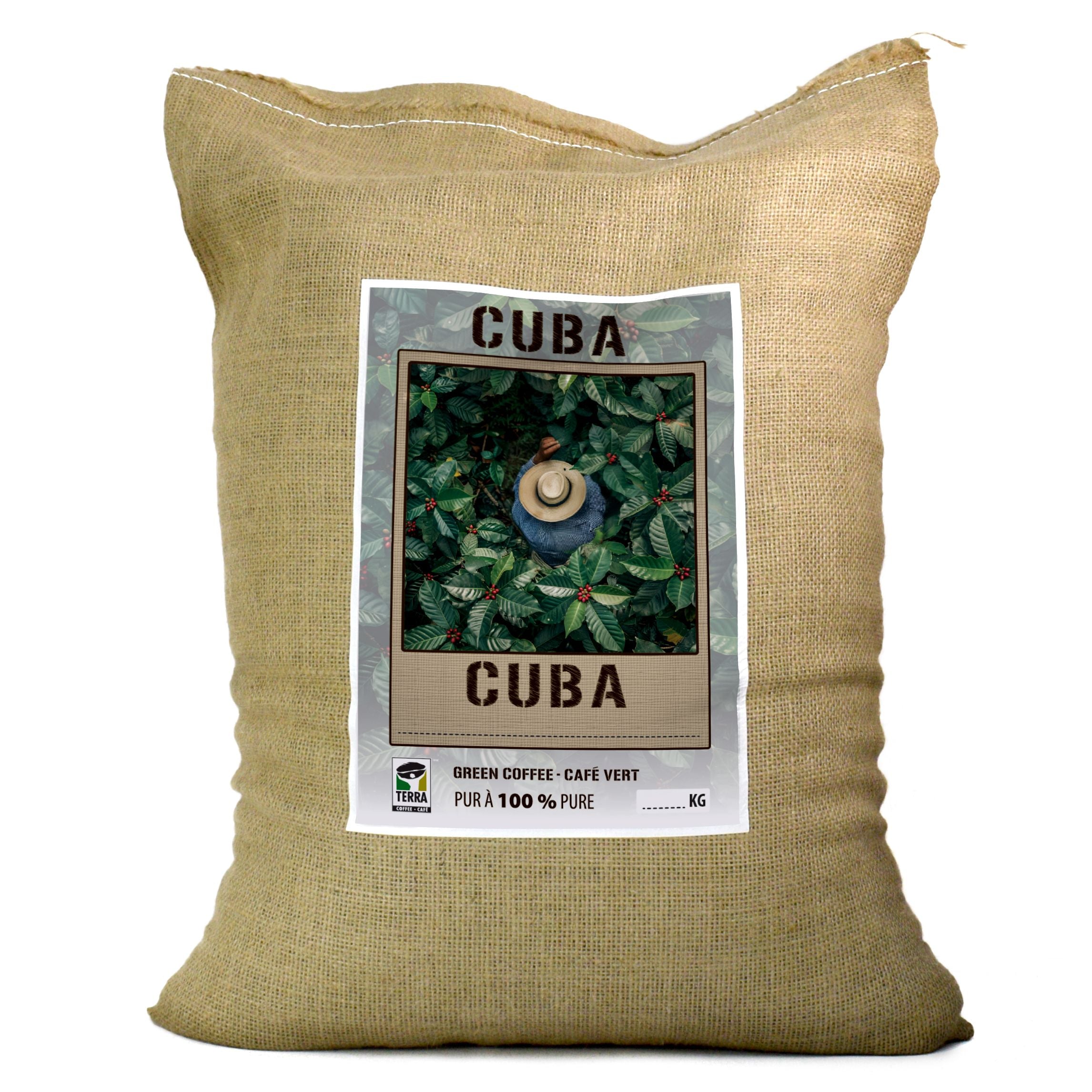 Cuba Caracolillo Peaberry