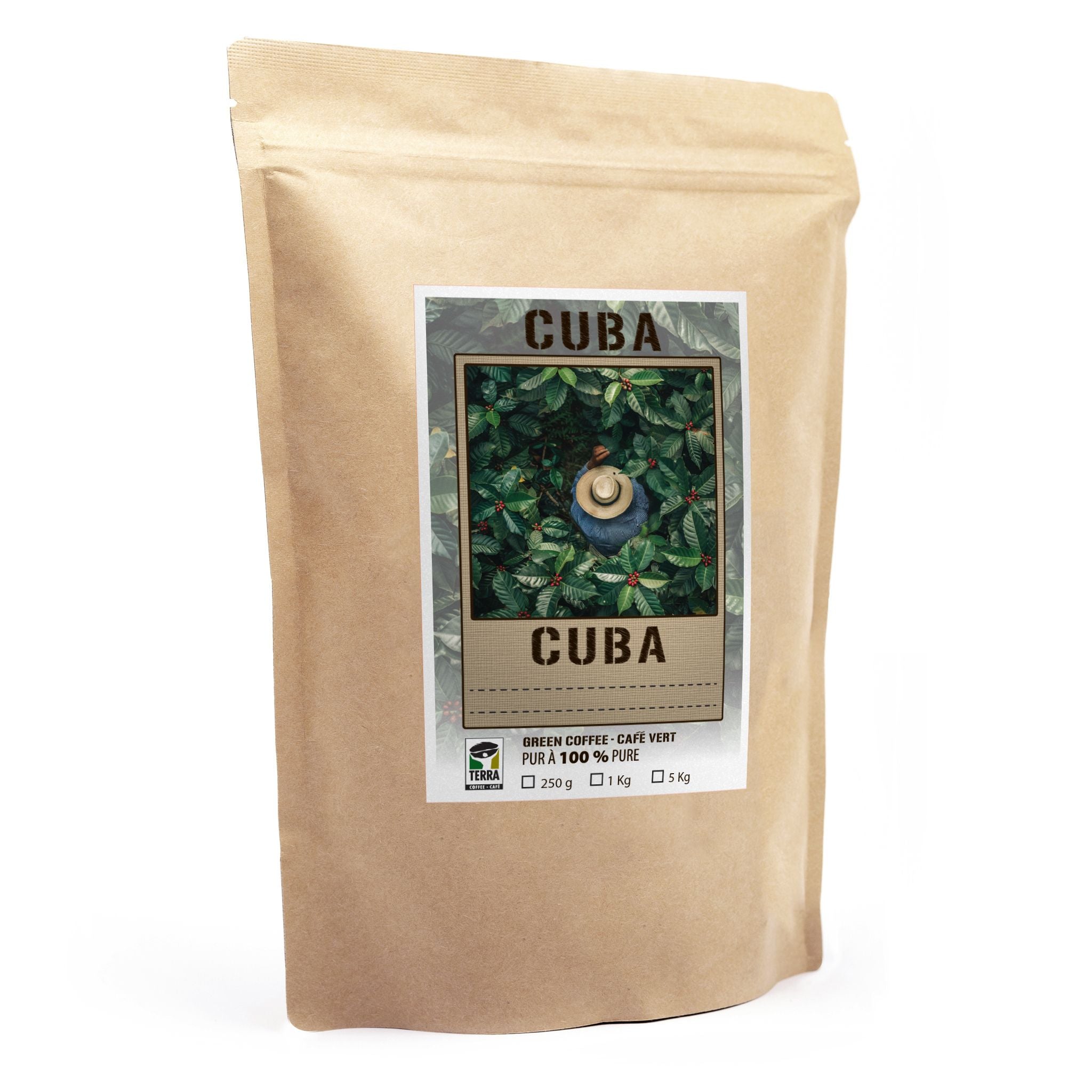 Cuba Caracolillo Peaberry