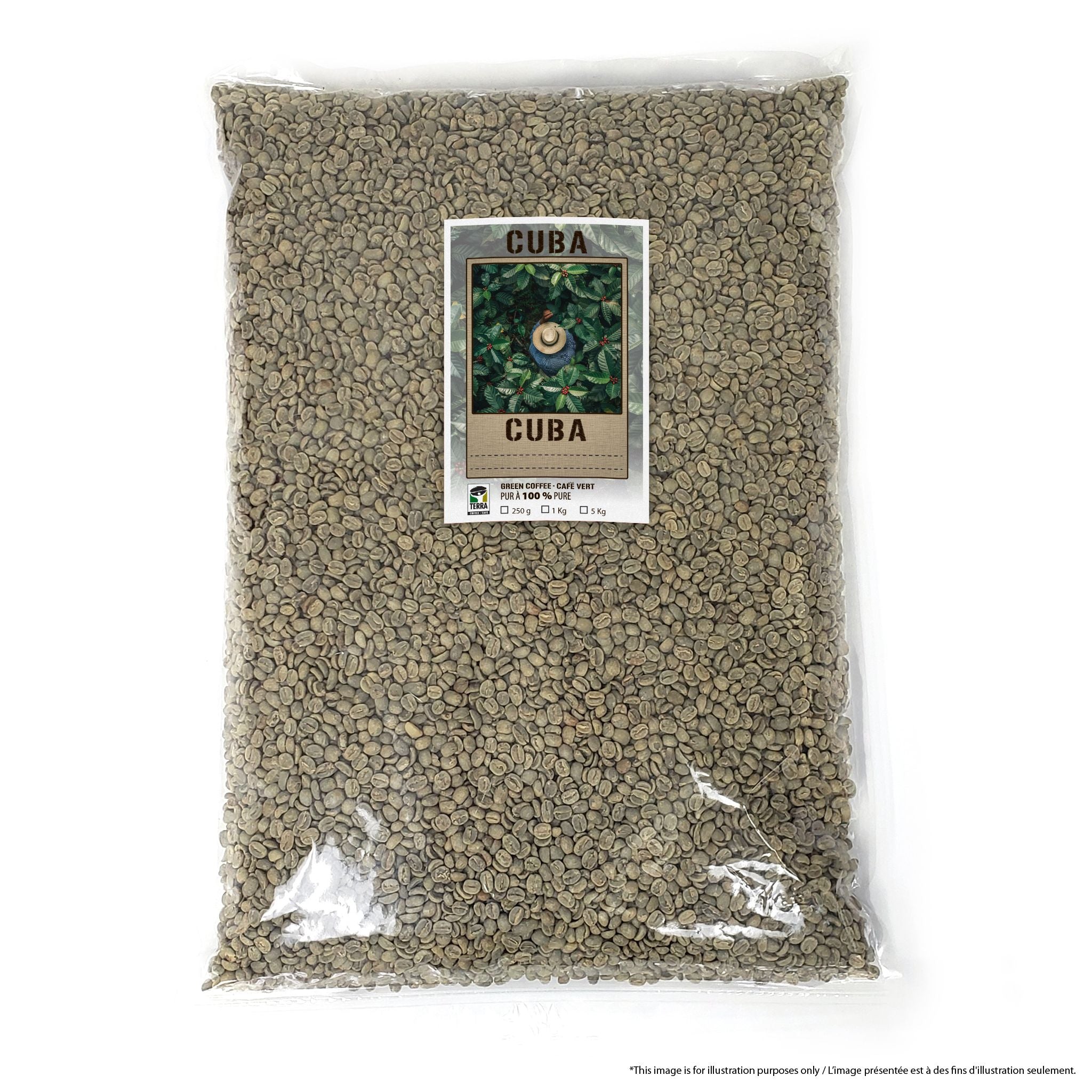 Cuba Caracolillo Peaberry