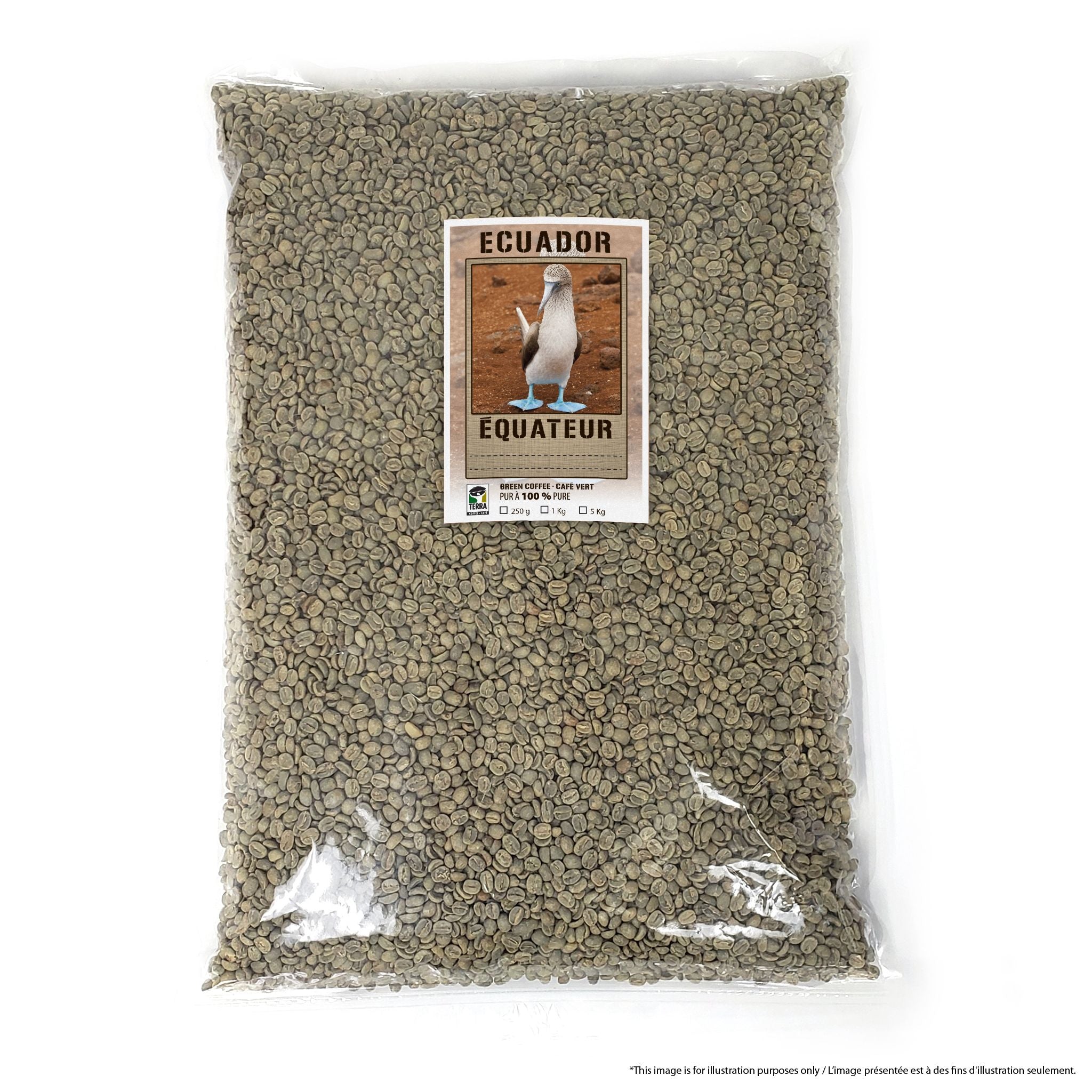 Galapagos Enchanted Islands - Certified Organic - Green Coffee