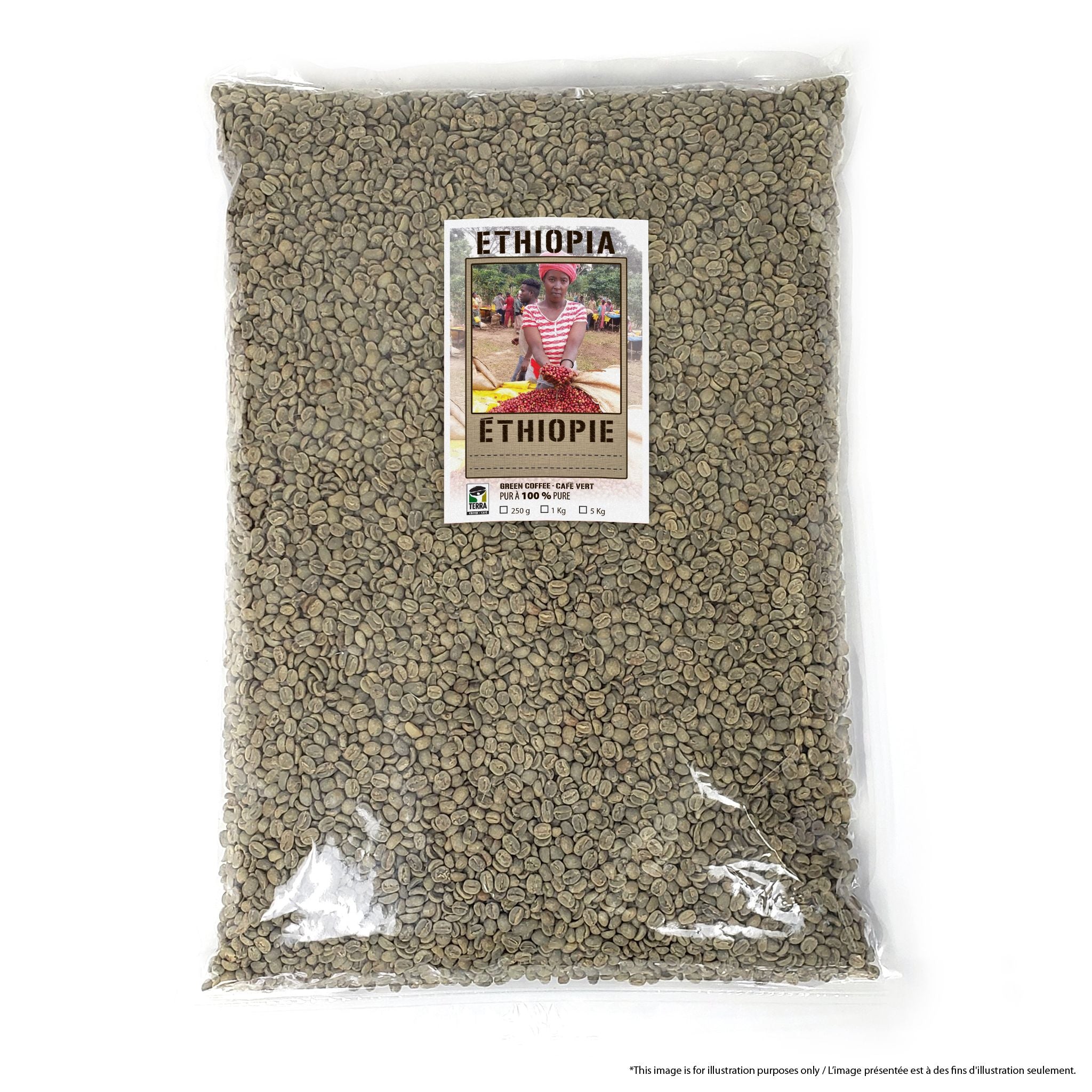 Ethiopia Guji Hangadi Grade 2