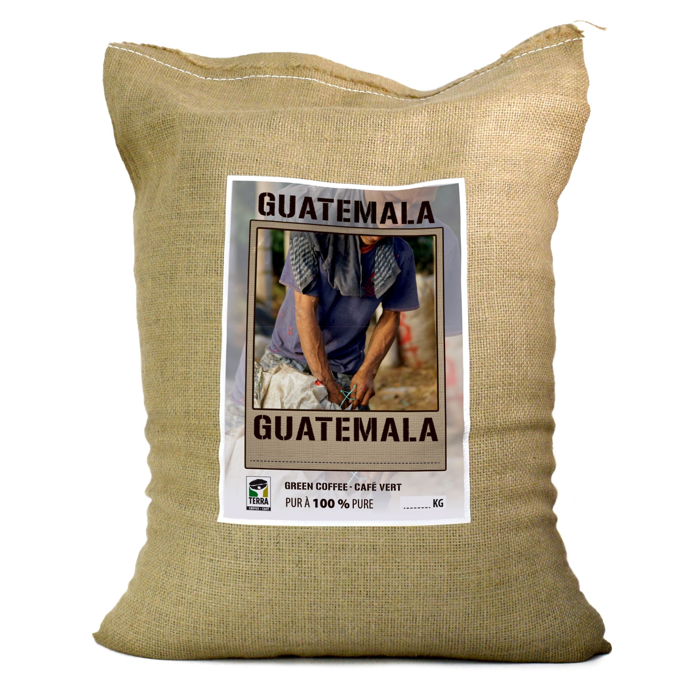 Guatemala Huehuetenango SHB EP