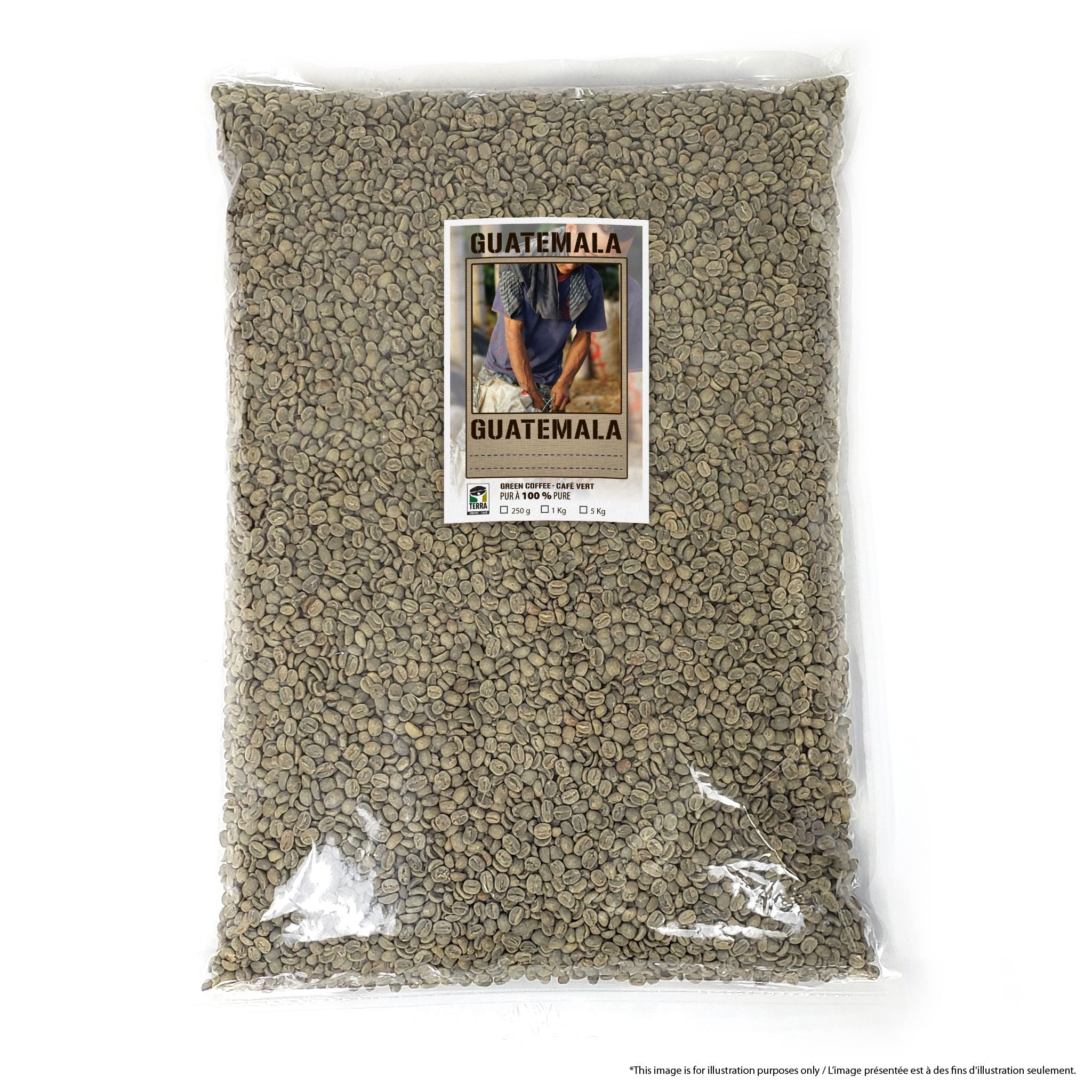 Guatemala Huehuetenango SHB EP
