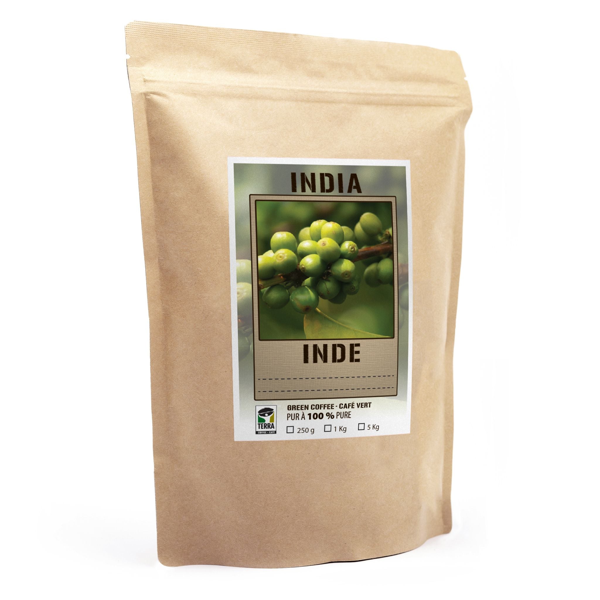 India Monsooned Malabar AA
