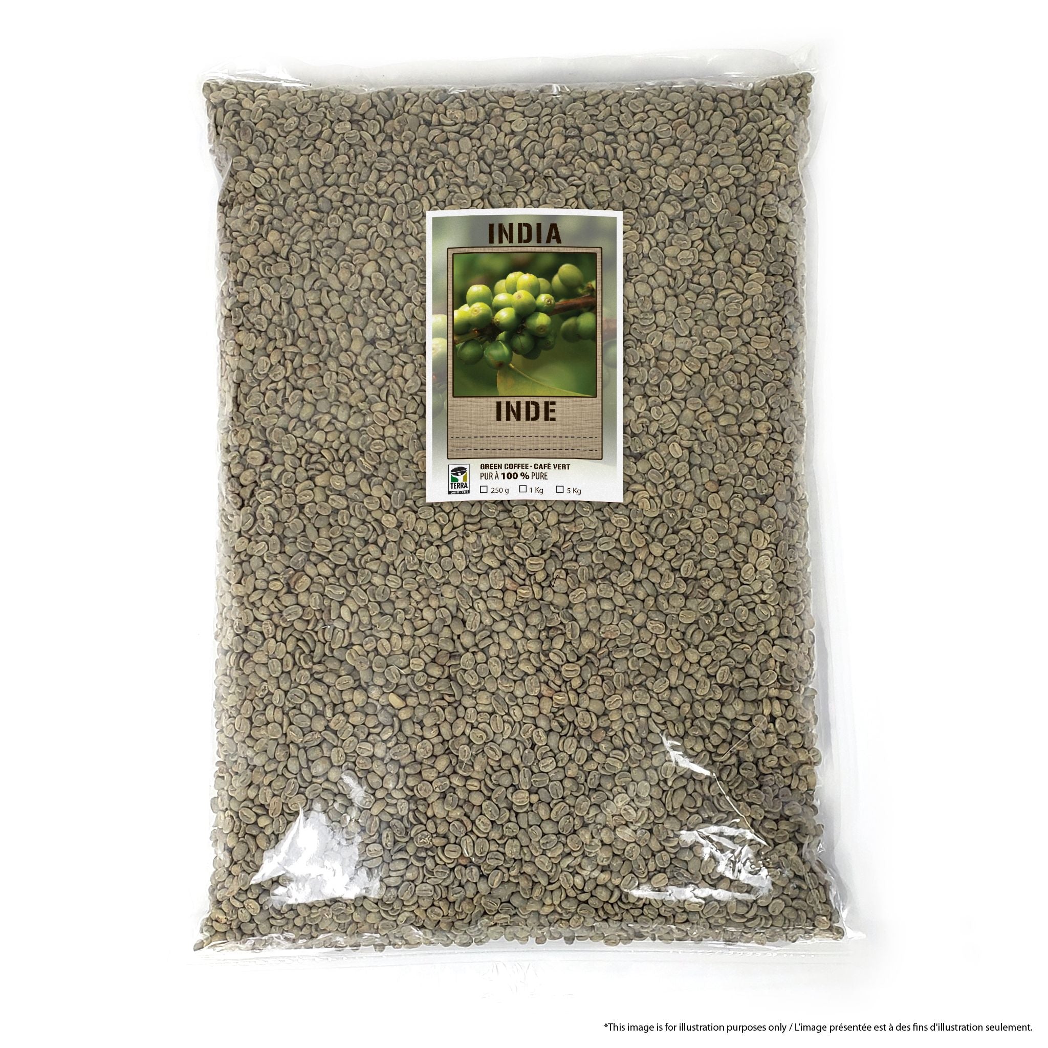 India Monsooned Malabar AA