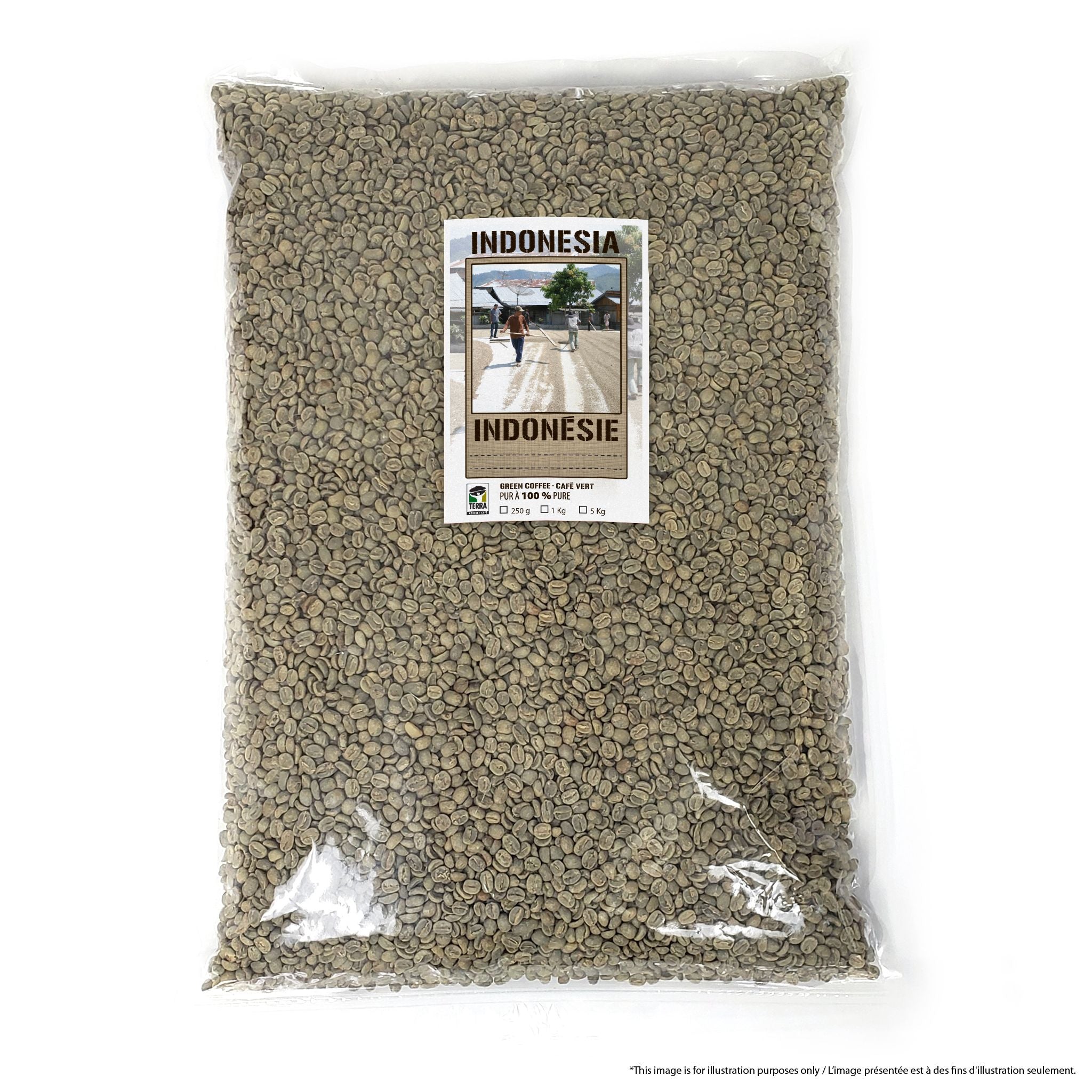 Indonesia Flores Island Grade 1 - Green Coffee