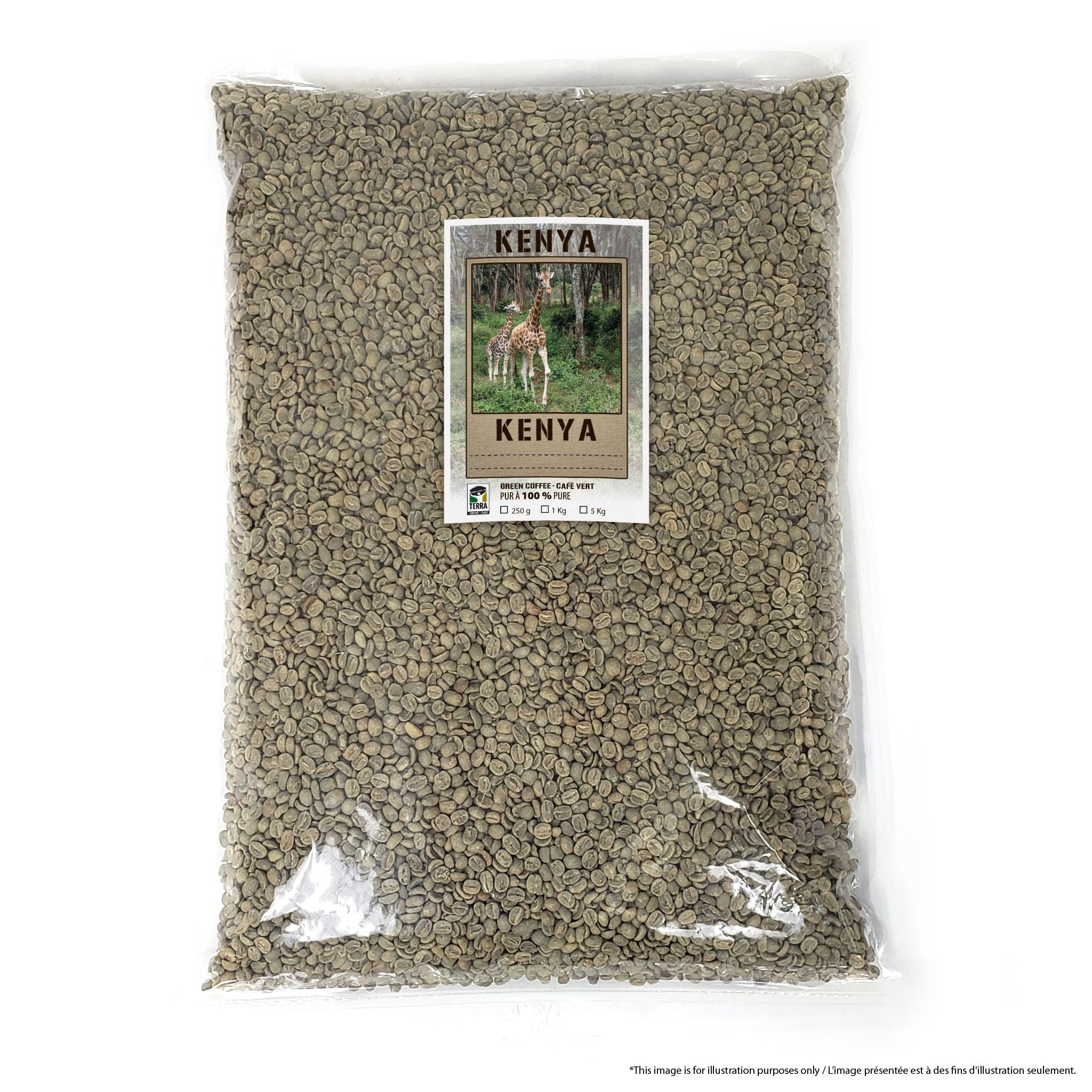 Kenya AA Estate - Green Coffee