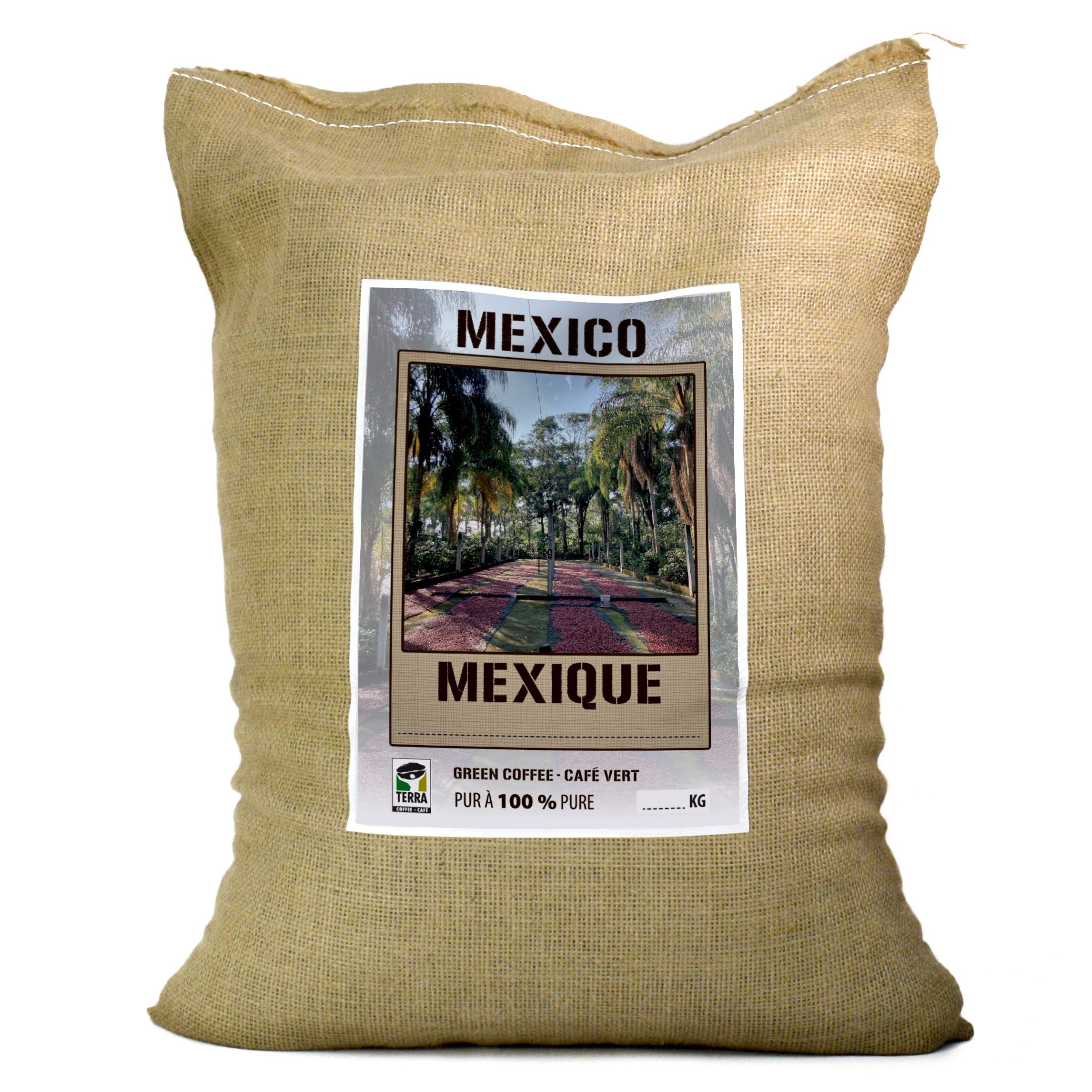 Mexico SHG Chiapas - Green Coffee