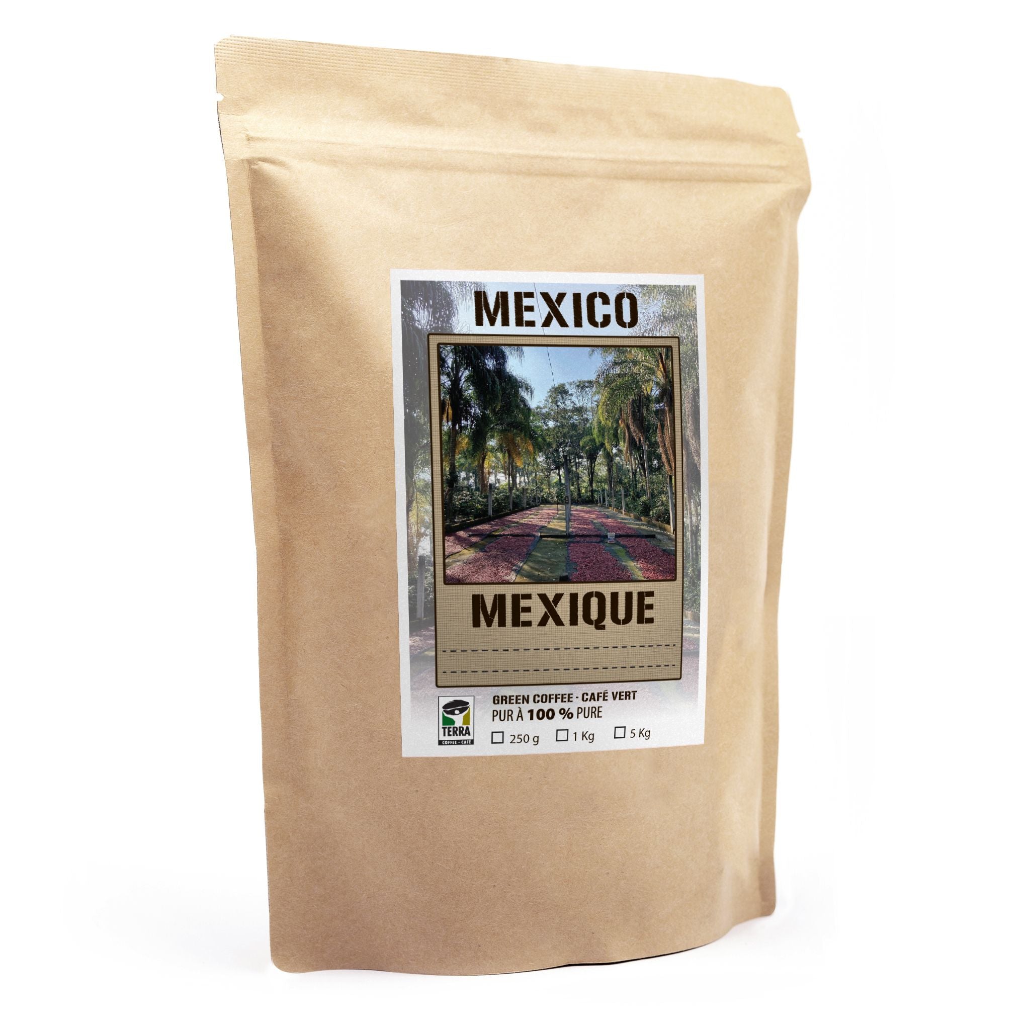 Mexico SHG Chiapas - Green Coffee