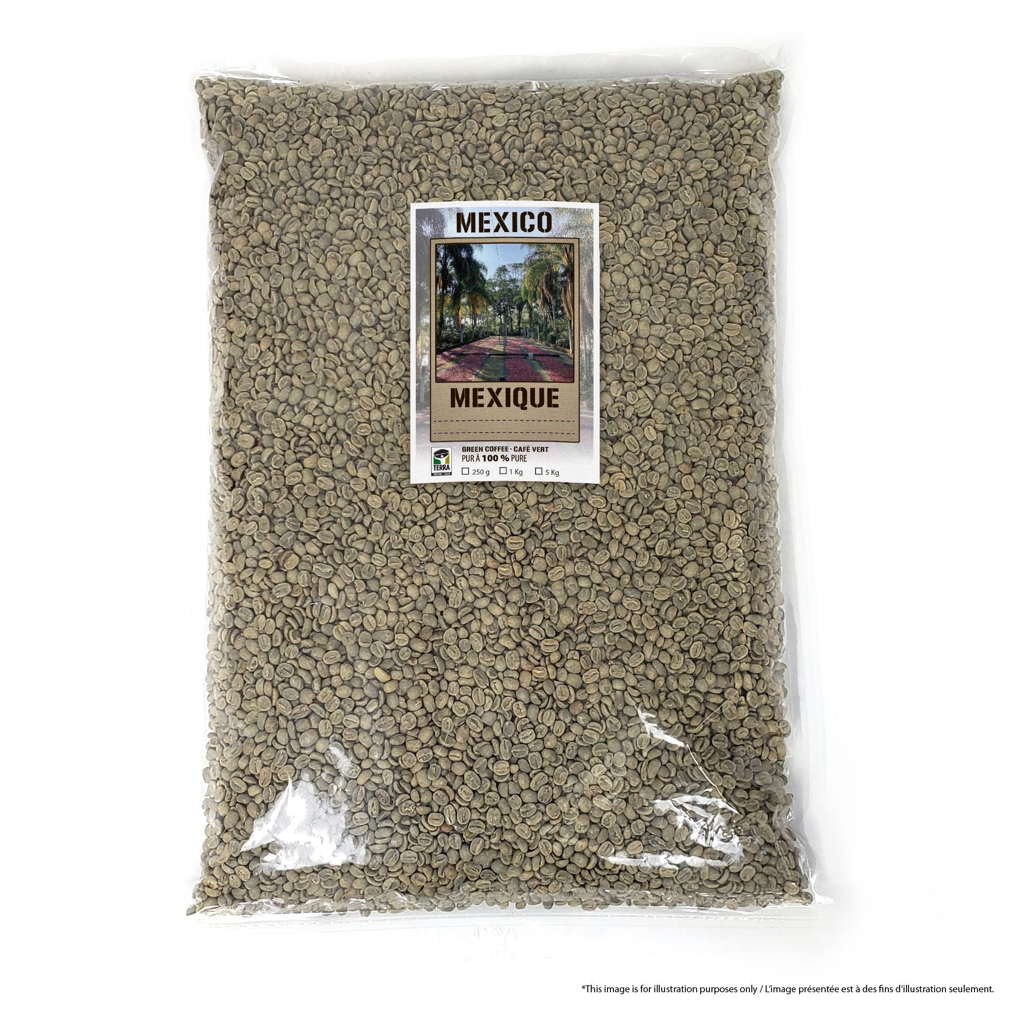Mexico SHG Chiapas - Green Coffee