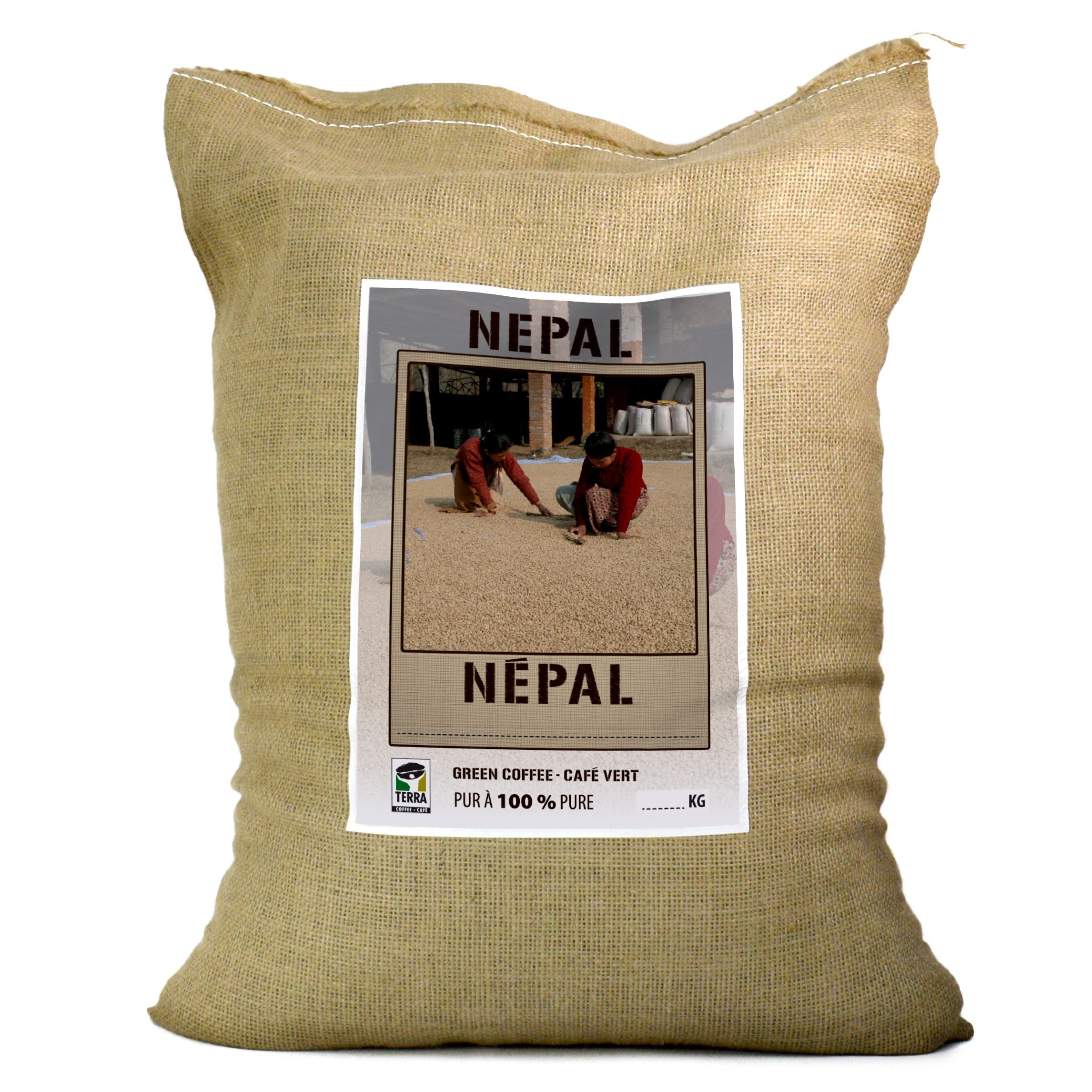 Népal Mont Everest suprême
