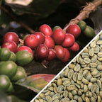 Colombia Pink Bourbon