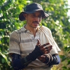 Colombie Excelso