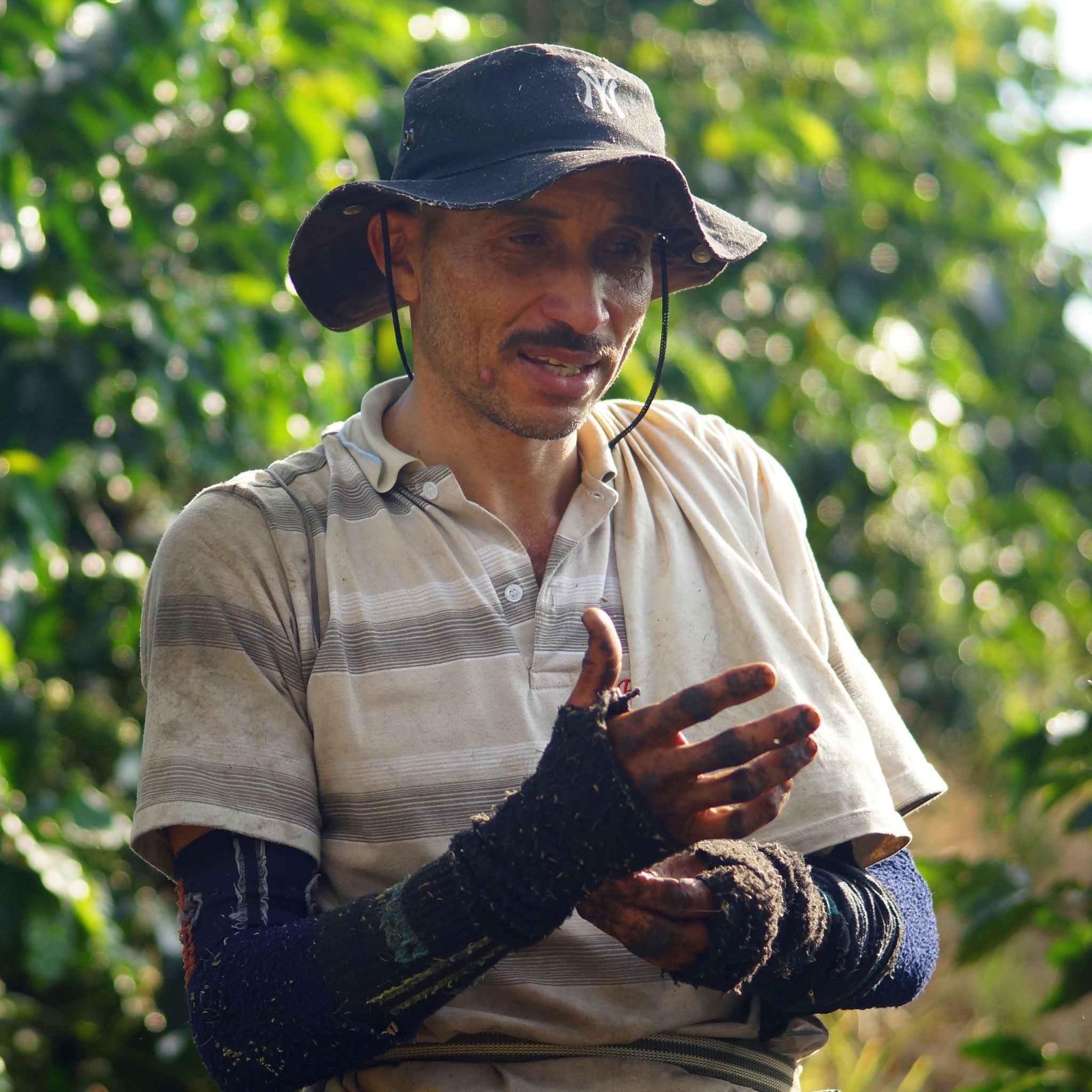 Colombie Excelso
