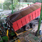 Costa Rica La Joya