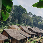 Indonesia Flores Watujaji Coffee