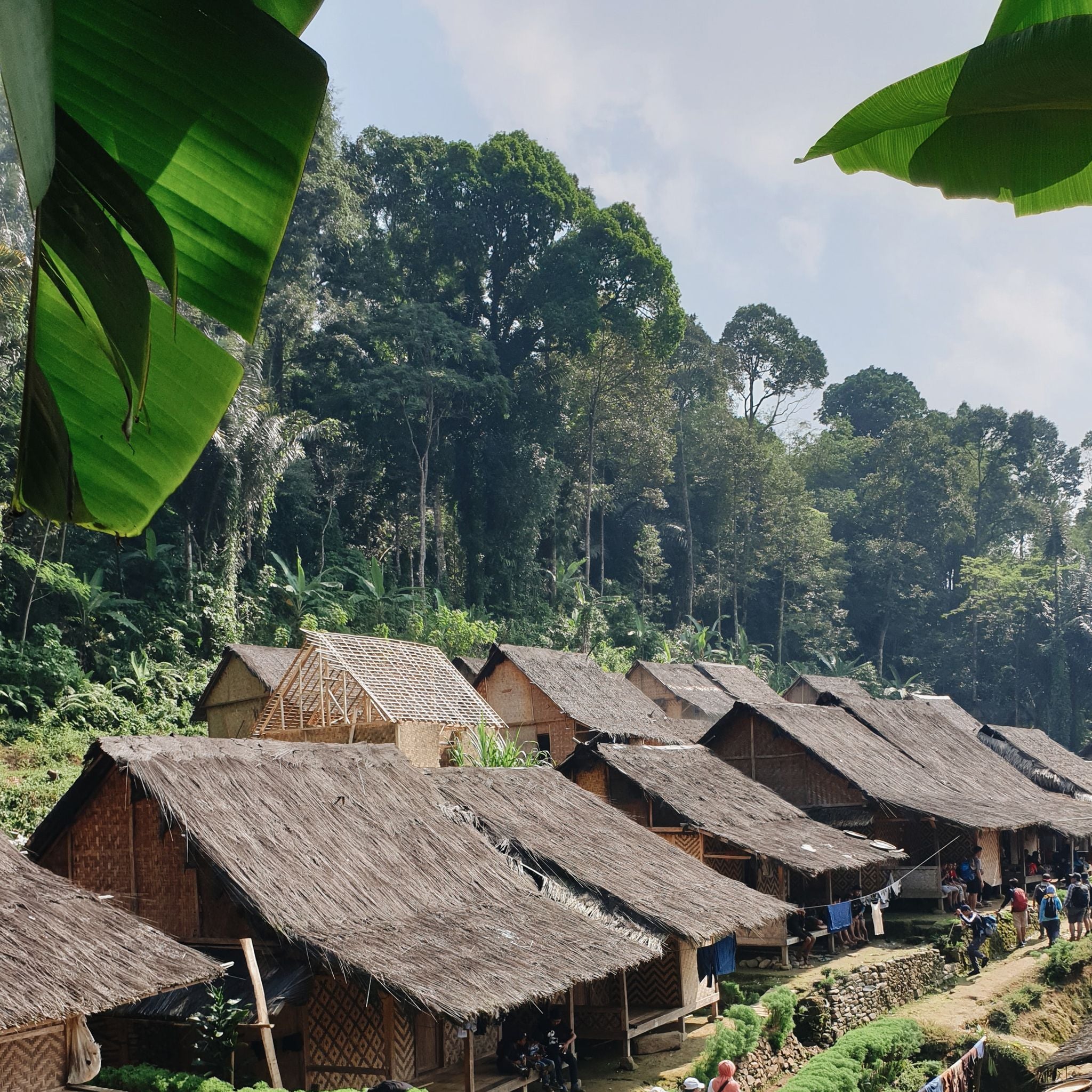 Indonesia Flores Watujaji Coffee