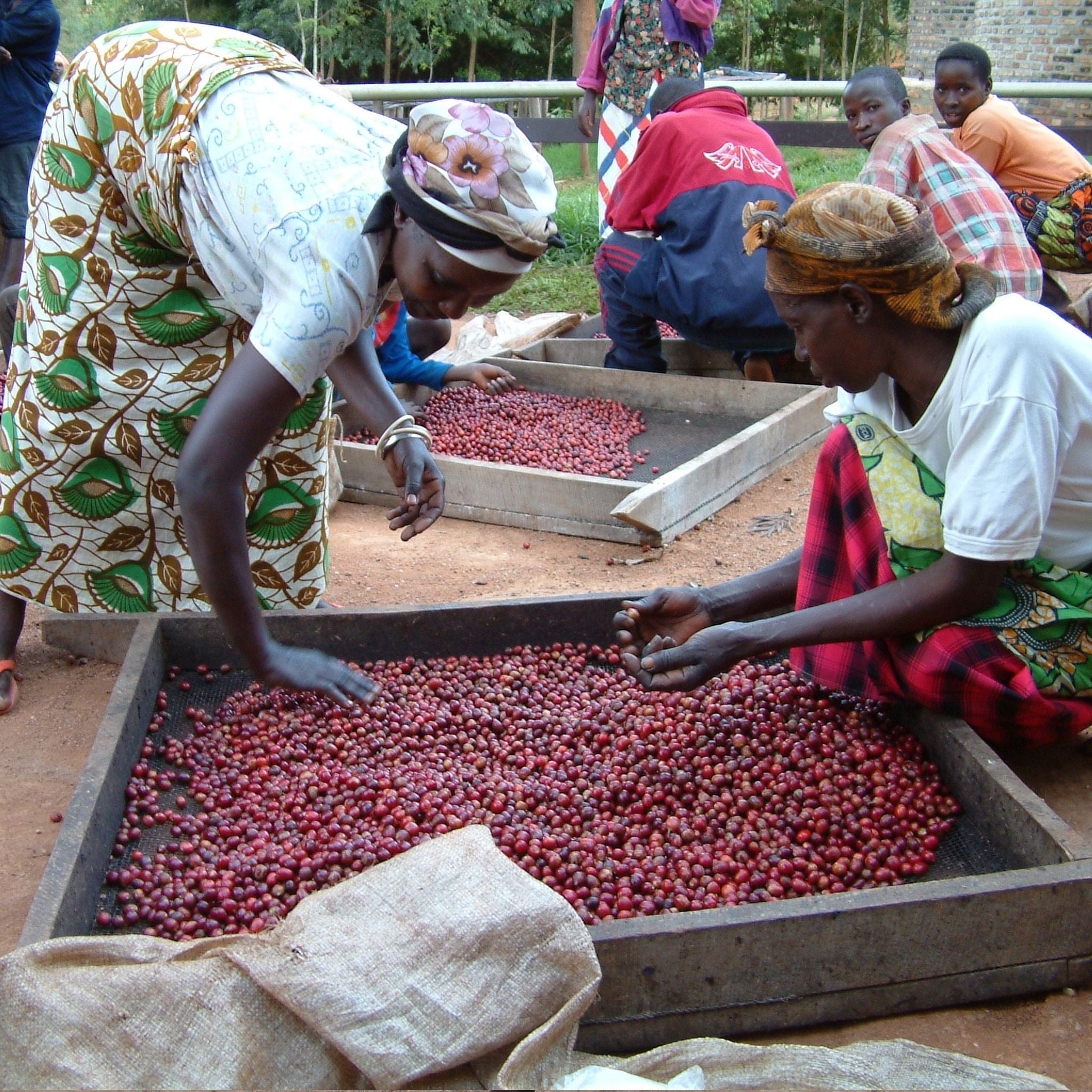 Kenya Réserve Spéciale