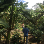 Pérou Selva Amazone