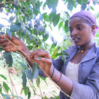 Ethiopie Anderacha Natural Grade 4 Coffee