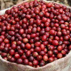 Papua New-Guinea Coffee