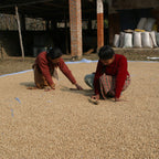 Nepal Mount Everest Coffee
