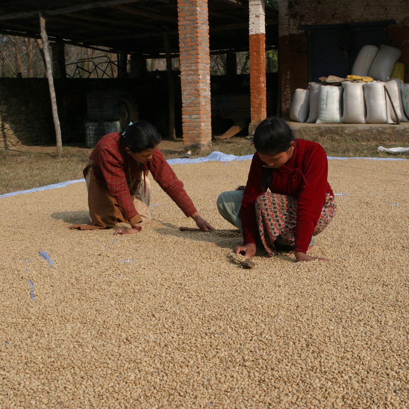 Nepal Mount Everest Coffee