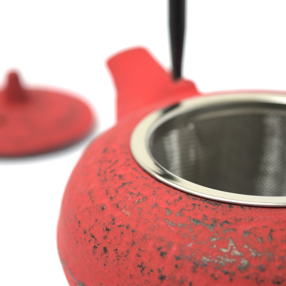Xiao Cast Iron Teapot 300 ml