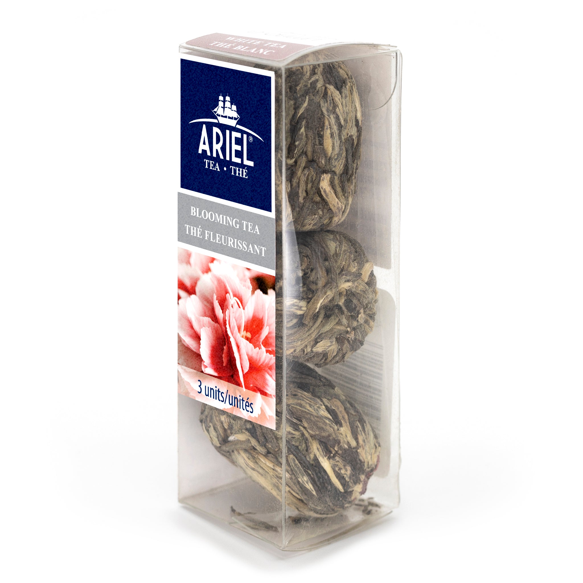 ARIEL Carnation