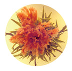 ARIEL Carnation