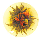 ARIEL Ginseng et lys