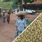 Kenya AA Estate - Green Coffee