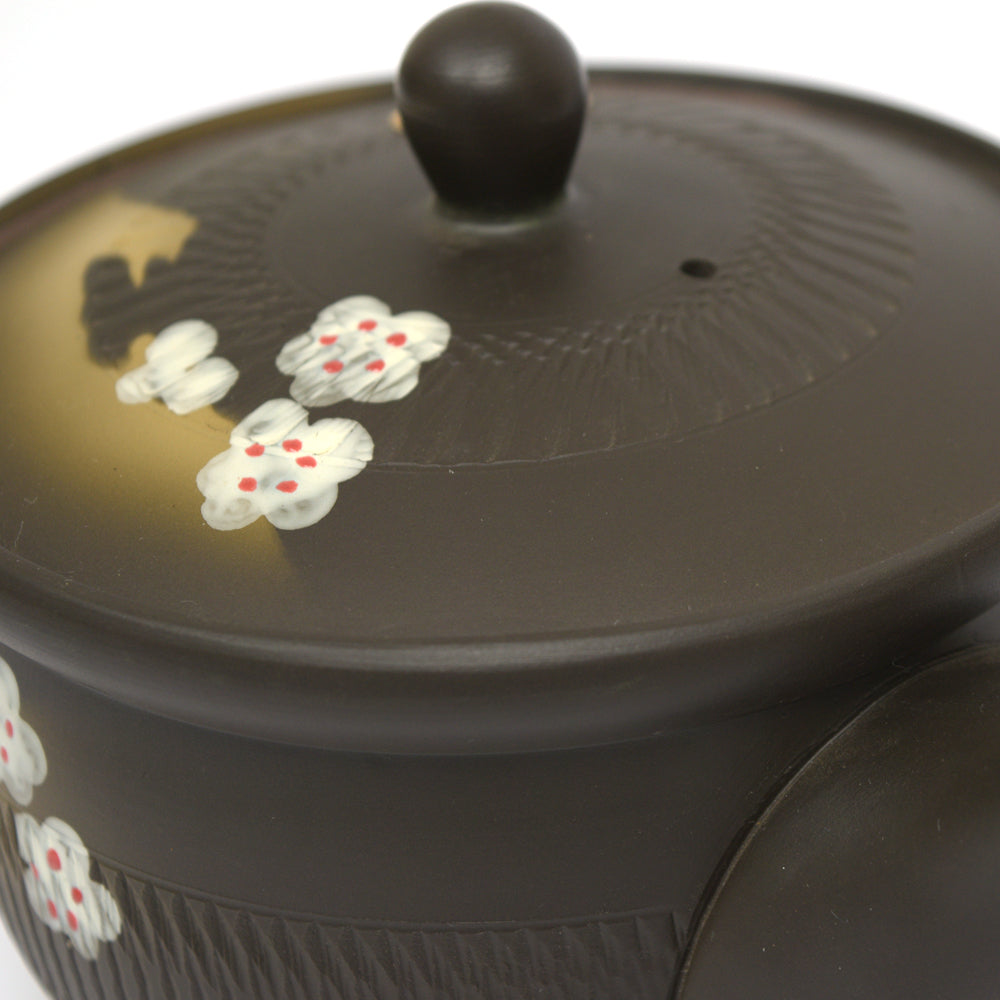 Mizazuki Clay Teapot - 500 ml
