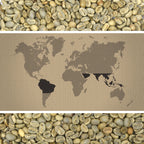 Danube Blend - Green Coffee